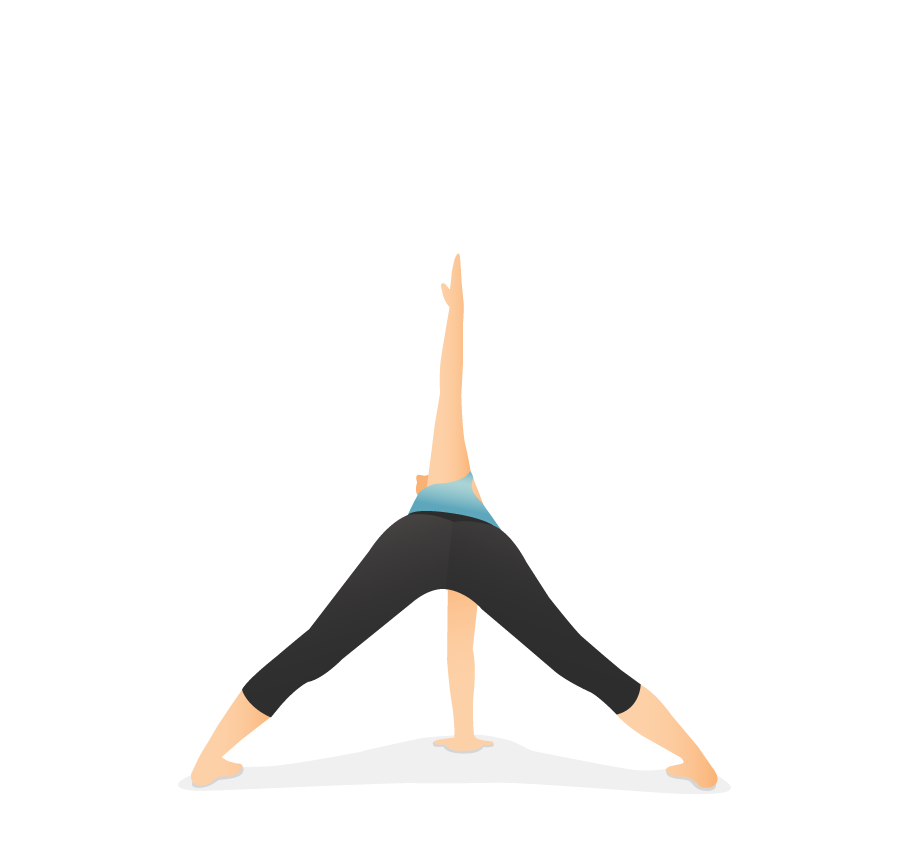 wide_legged_forward_bend_twist_L