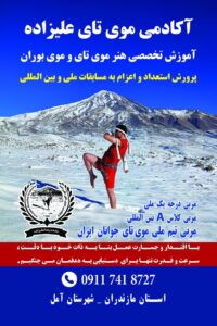 تصویر آلبوم مربی محمدرضا علیزاده