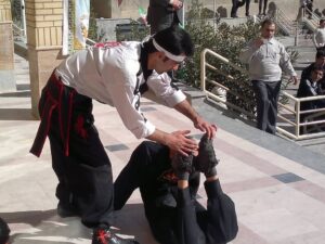 تصویر آلبوم مربی عبدالرضا مهرگانی