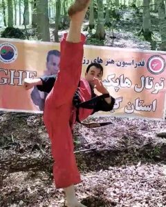تصویر آلبوم مربی فریبرز روستا ناوی