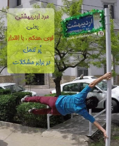 تصویر آلبوم مربی محمد بی پروا