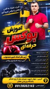 تصویر آلبوم مربی امین حسنوند
