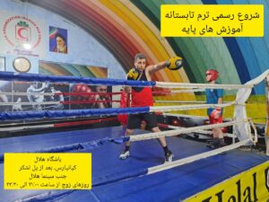 تصویر آلبوم مربی امین حسنوند