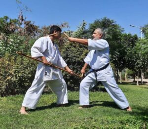 تصویر آلبوم مربی علیرضا طالعی