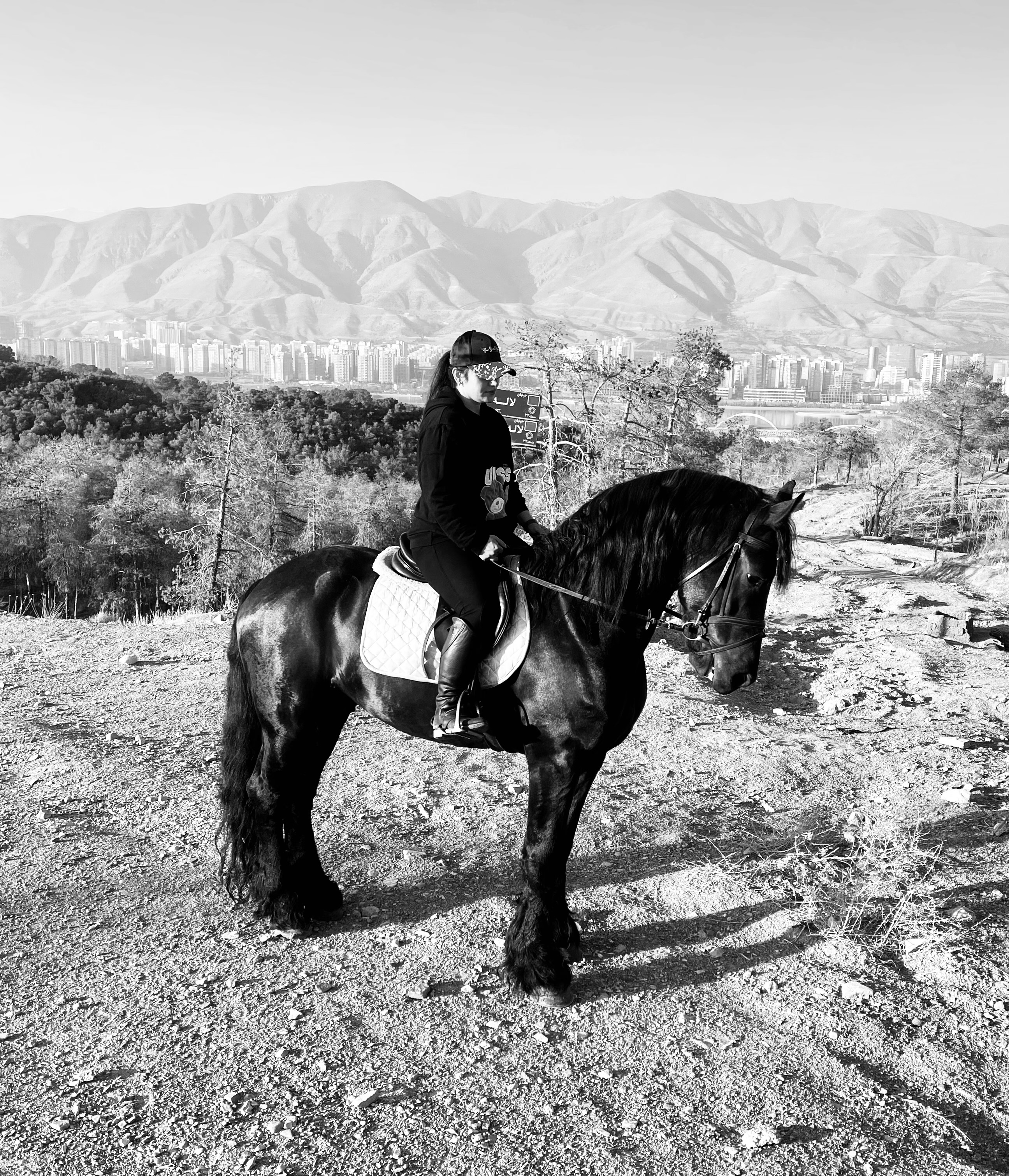 تصویر آلبوم مربی مریم بقائی