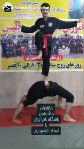 تصویر آلبوم مربی ضیاالدین شاهپوری